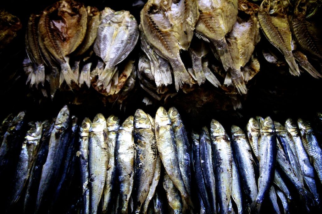 poissons aux philippines