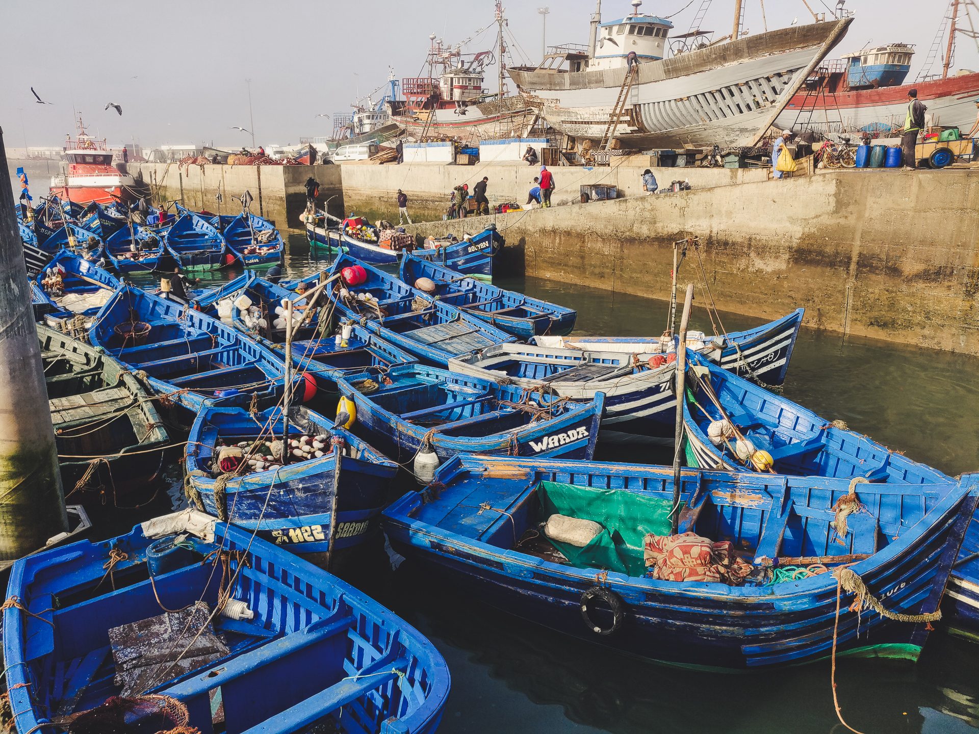 Le port Essaouira