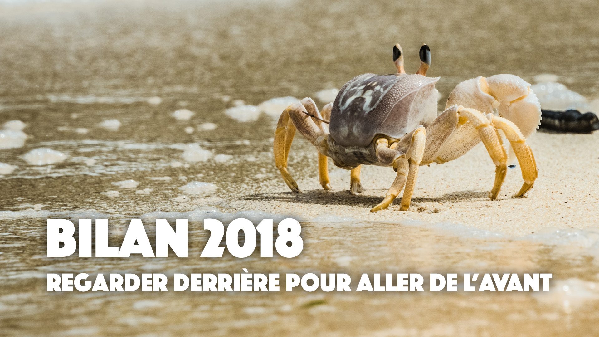 Bilan de mon année 2018 : Je me livre à vous