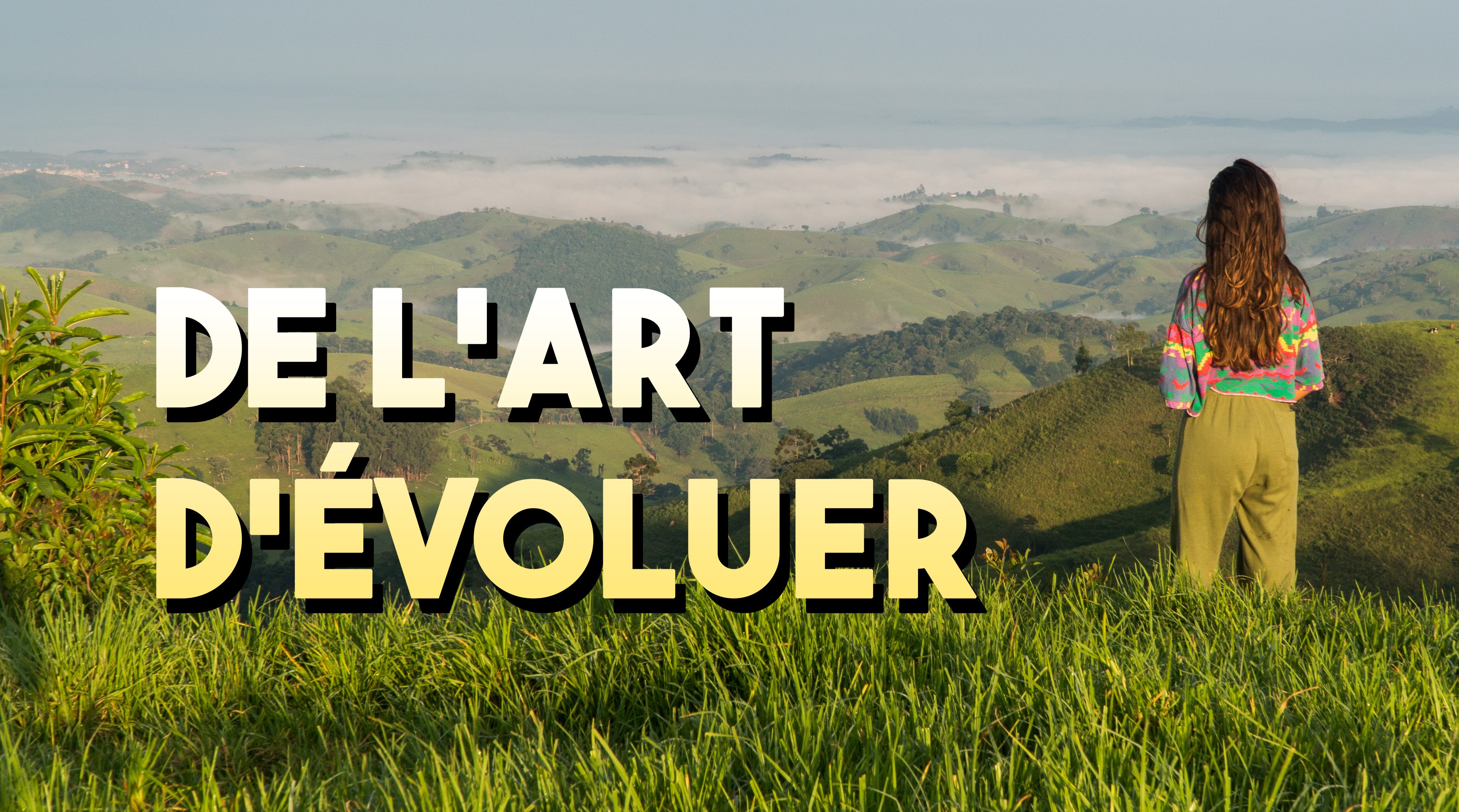 De l'Art d'évoluer