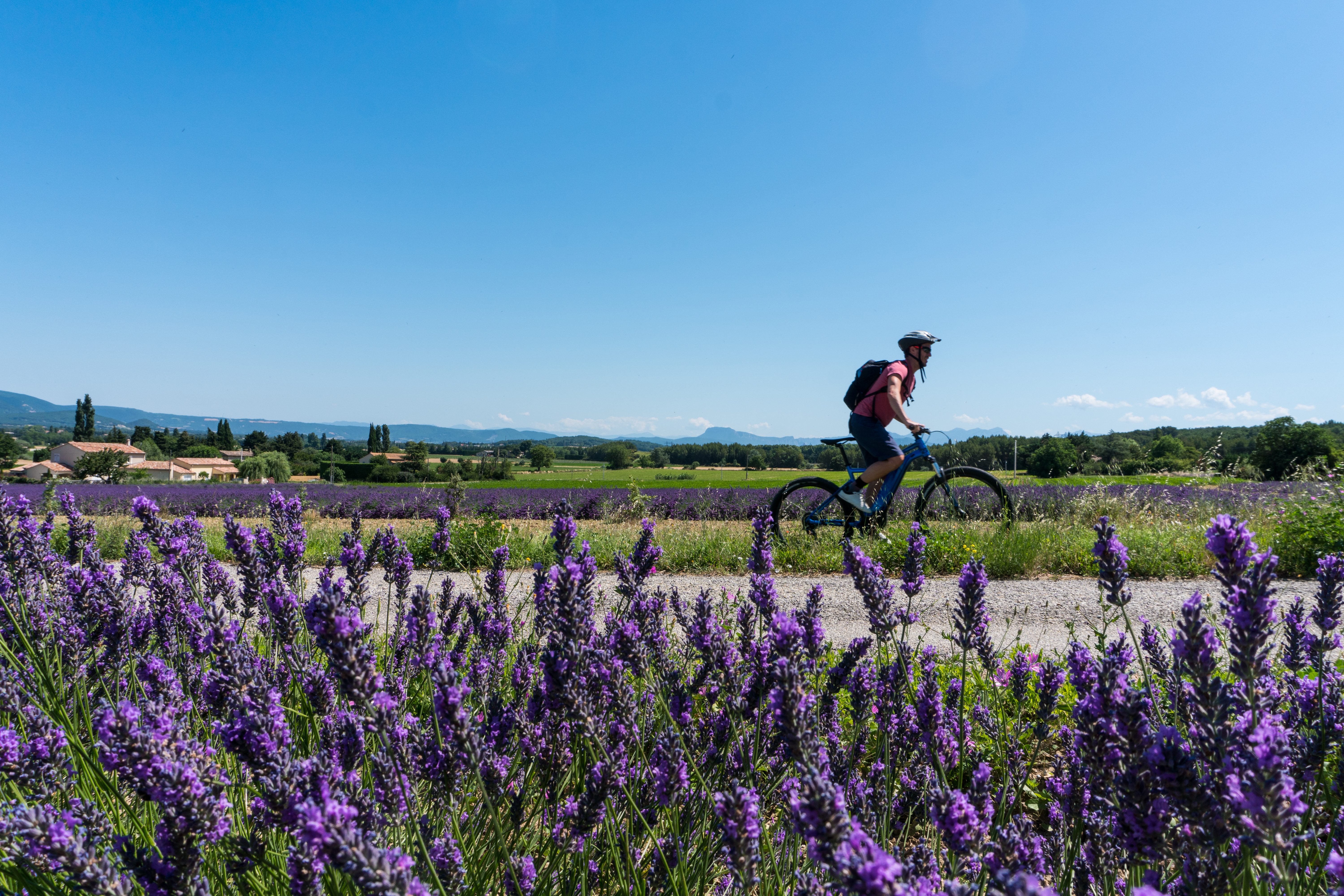 VTT Drome Provençale